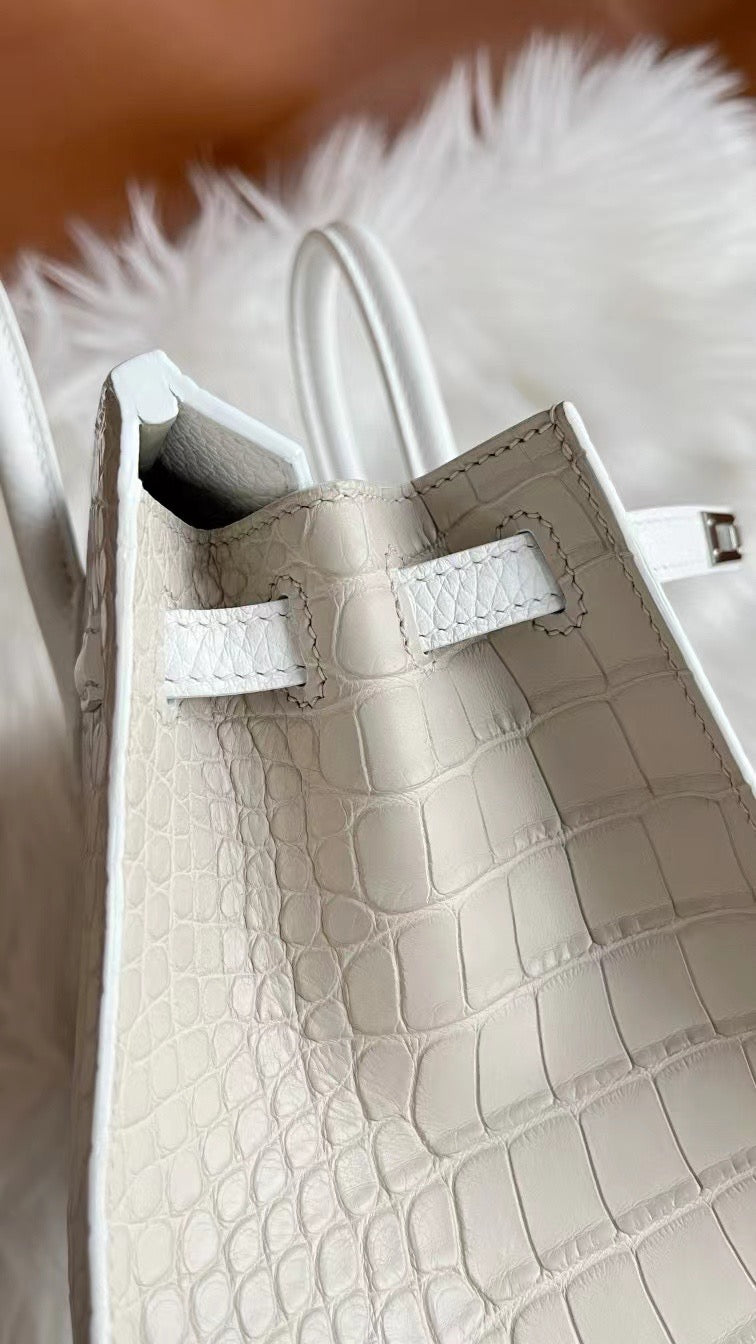 Limited Edition Birkin 20 Faubourg Sellier Bag Neige (Snow) White Matte Alligator