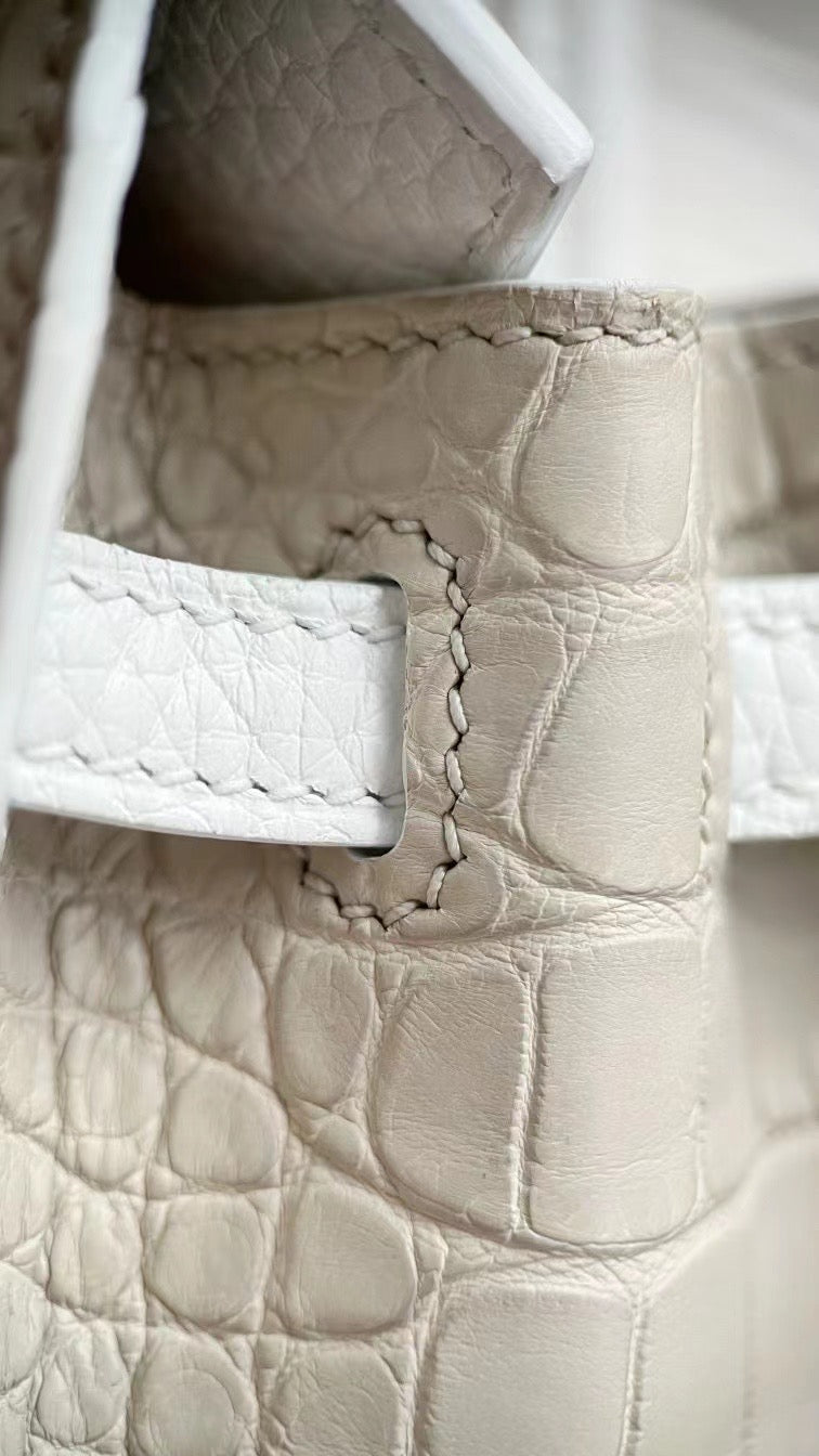 Limited Edition Birkin 20 Faubourg Sellier Bag Neige (Snow) White Matte Alligator