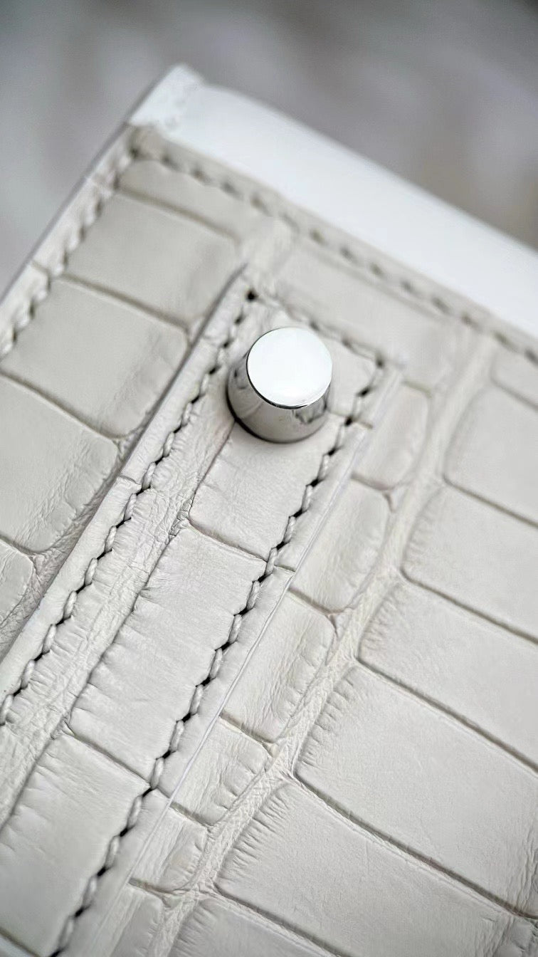 Limited Edition Birkin 20 Faubourg Sellier Bag Neige (Snow) White Matte Alligator