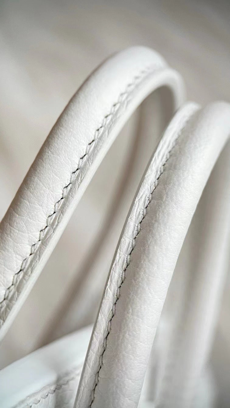 Limited Edition Birkin 20 Faubourg Sellier Bag Neige (Snow) White Matte Alligator