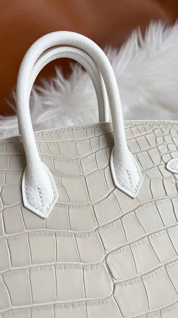 Limited Edition Birkin 20 Faubourg Sellier Bag Neige (Snow) White Matte Alligator