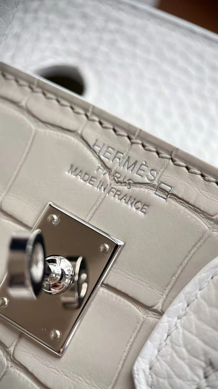 Limited Edition Birkin 20 Faubourg Sellier Bag Neige (Snow) White Matte Alligator