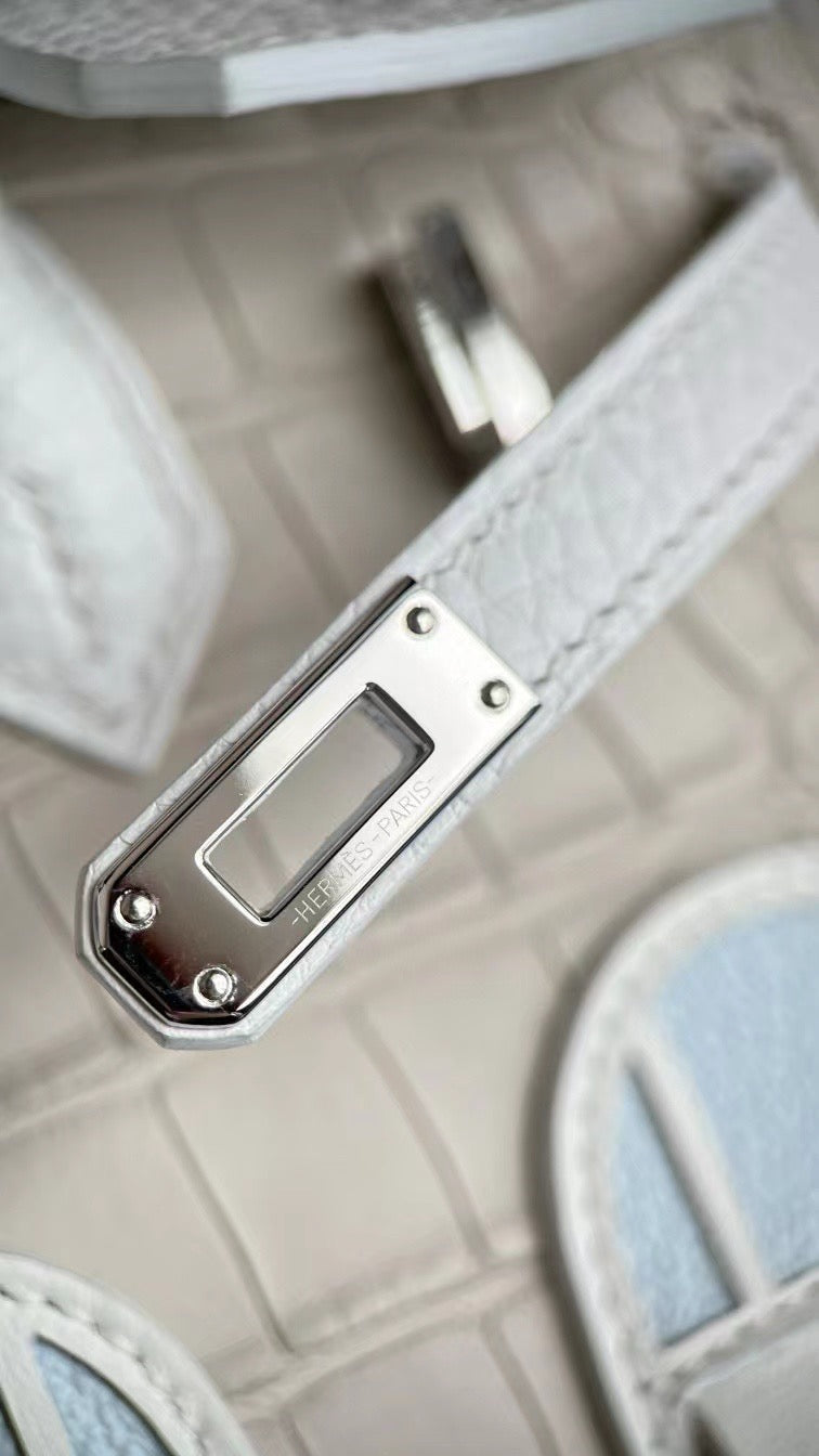 Limited Edition Birkin 20 Faubourg Sellier Bag Neige (Snow) White Matte Alligator