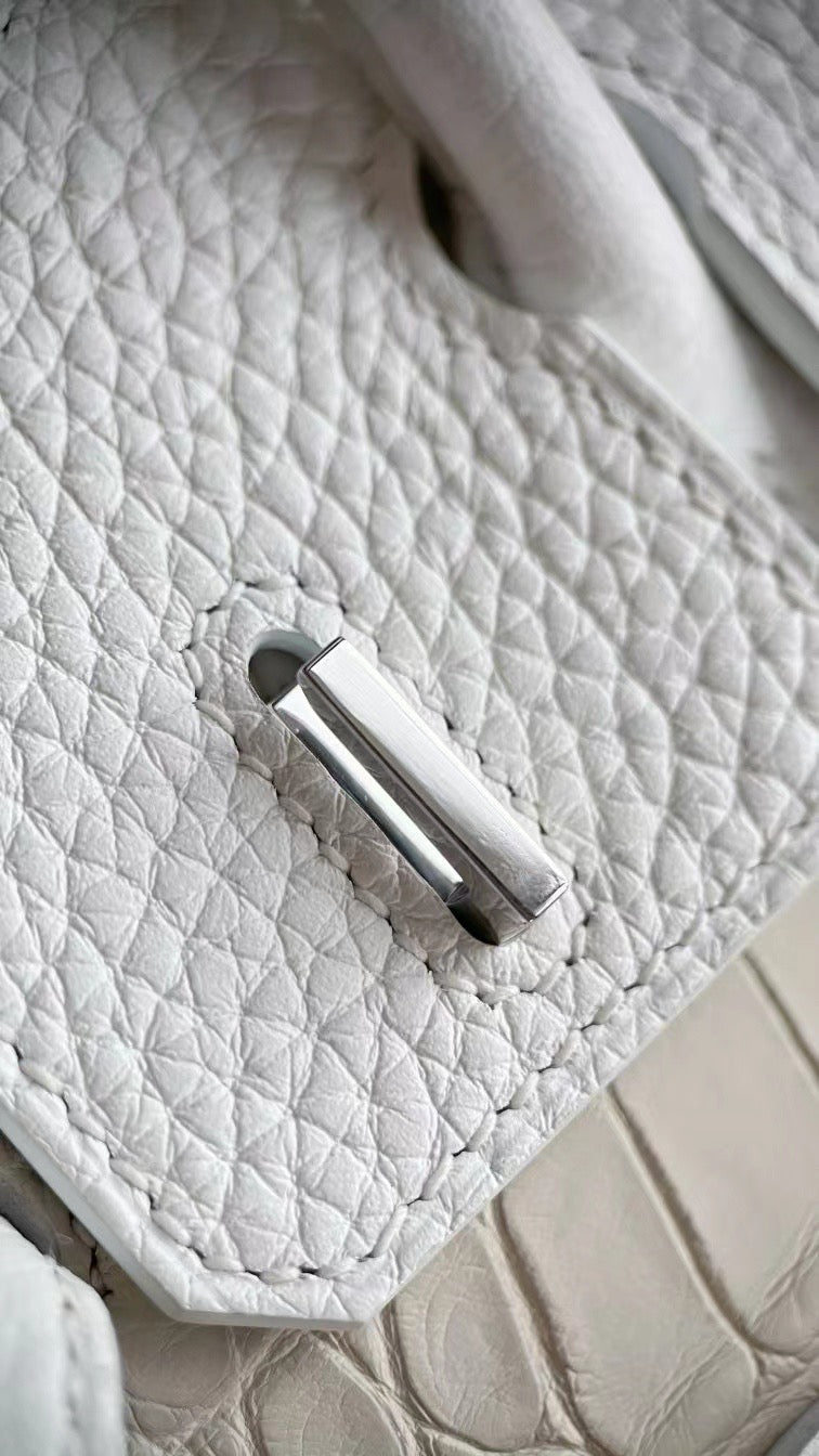 Limited Edition Birkin 20 Faubourg Sellier Bag Neige (Snow) White Matte Alligator
